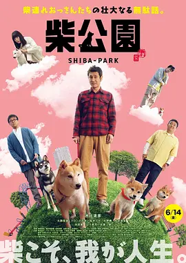 麻豆片
