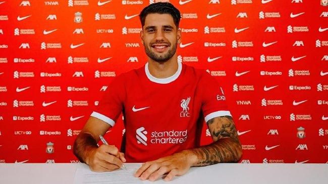 国产网站免费观看