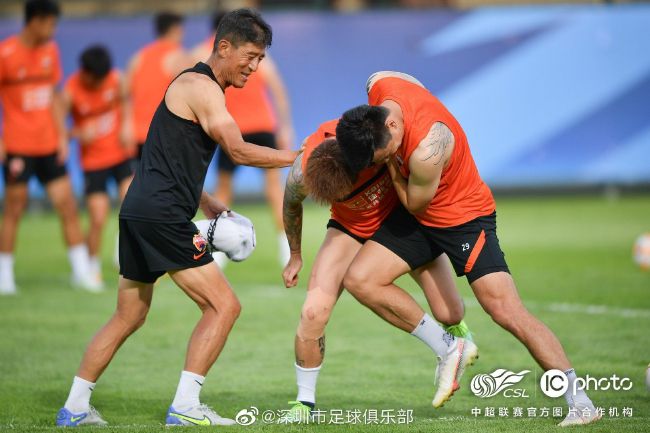 日本无翼乌