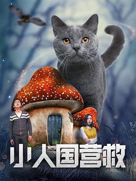 白色内衣大发美女