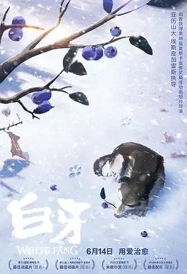 久久综合中文字幕