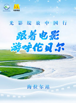 久久久久久久久久综合情日本