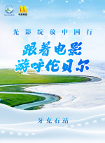 欧美va电影