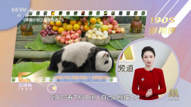 色婷婷色综合缴情在线
